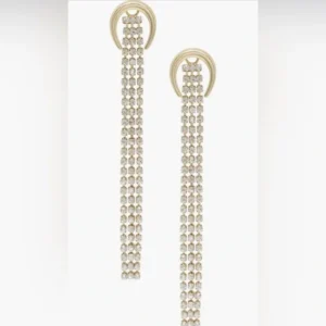 Ettika Crystal Fringe Drop Earrings