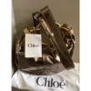 m_wp_697efee02fa0544e91a847b9 Chloé Small Bracelet Hobo Bag - Metallized Leather with Gold Ring